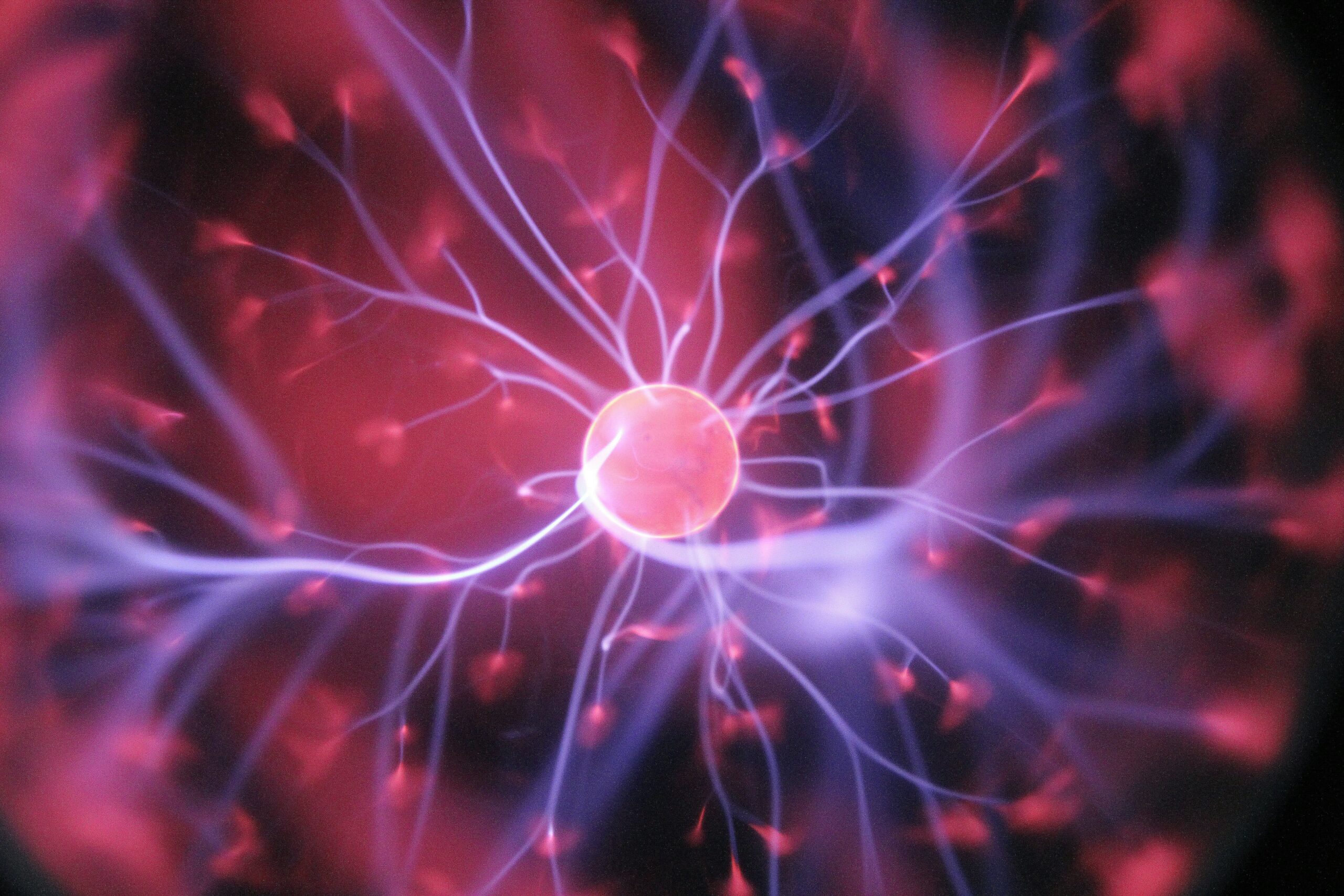 Il Feng Shui è una scienza